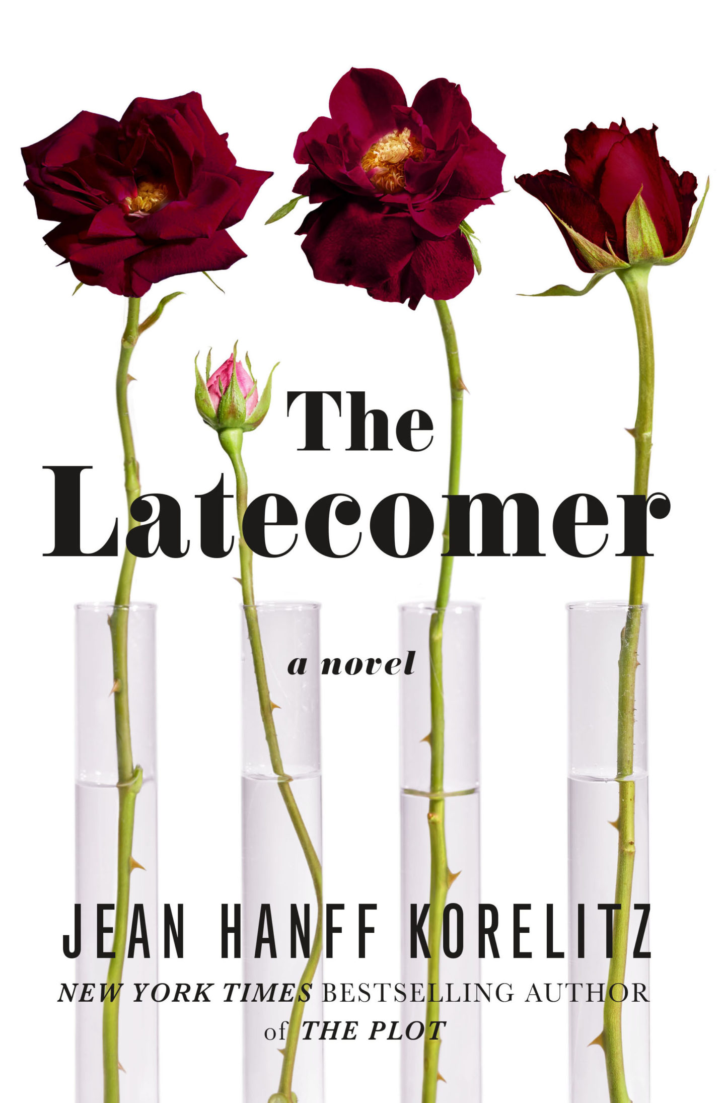 the latecomer book review